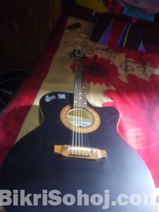 signatere guitar